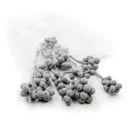 acorn-bunch-white-washed-susz-egzotyczny-10szt