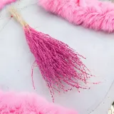 lepidium-lepidium-sativum-fuksja-kod-producenta-lepidium-fuksja