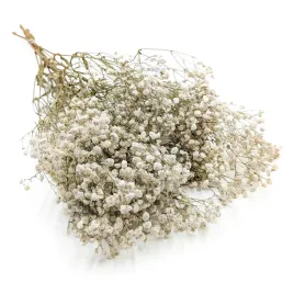 gipsowka-stabilizowana-gypsophila-royal-bouquet-naturalna-100g