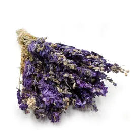 ostrozka-suszona-delphinium-niebieska