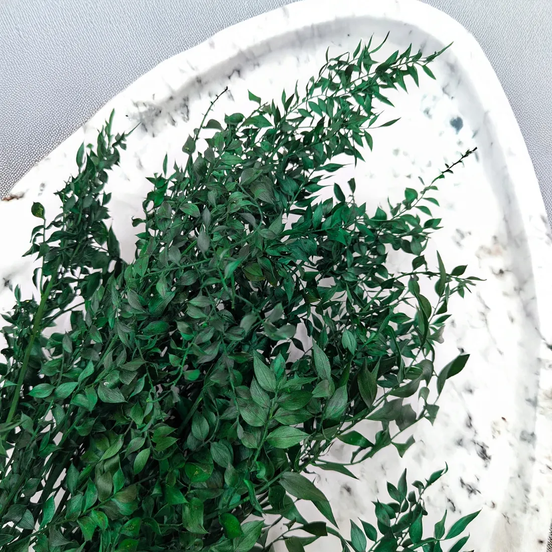 ruskus-suszony-ruscus-zielony