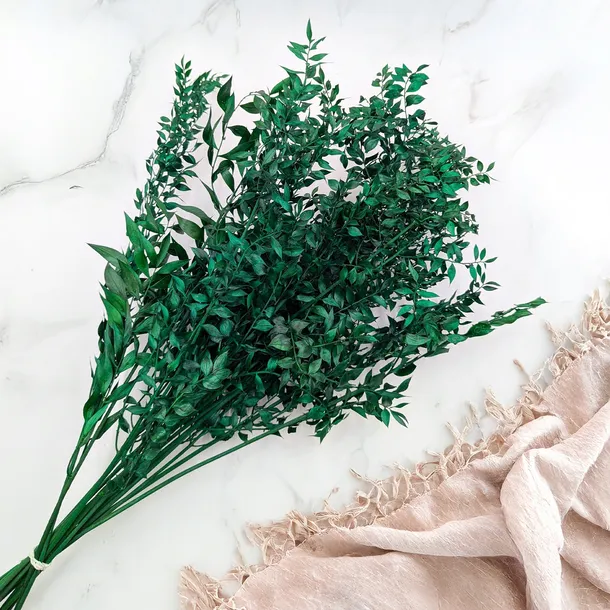 ruskus-suszony-ruscus-zielony-marka-enchanted