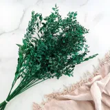 ruskus-suszony-ruscus-zielony-marka-enchanted