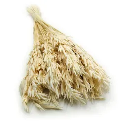 owies-suszony-bielony-suszki-duzy-bukiet-100g