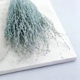 lepidium-lepidium-sativum-mietowe-wysokosc-maksymalna-60-cm