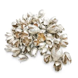 bakuli-srebro-susz-egzotyczny-lupinki-dekoracji