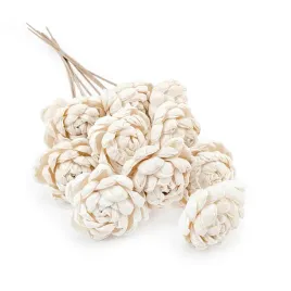 kwiat-shola-sola-dahlia-na-lodydze-10szt