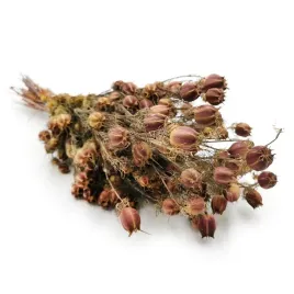 czarnuszka-suszona-nigella-damascena-czerwona