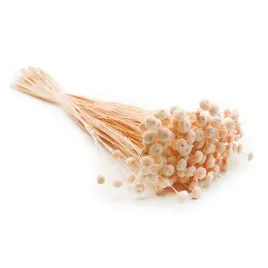 botao-amarelino-amarelinho-brzoskwiniowe