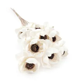kwiat-shola-sola-peony-titonia-na-lodydze-10szt