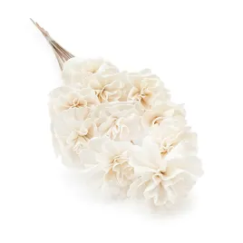 kwiat-shola-sola-carnation-na-lodydze-10szt