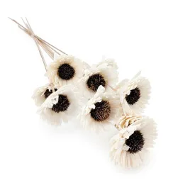kwiat-shola-sola-sunflower-na-lodydze-10szt