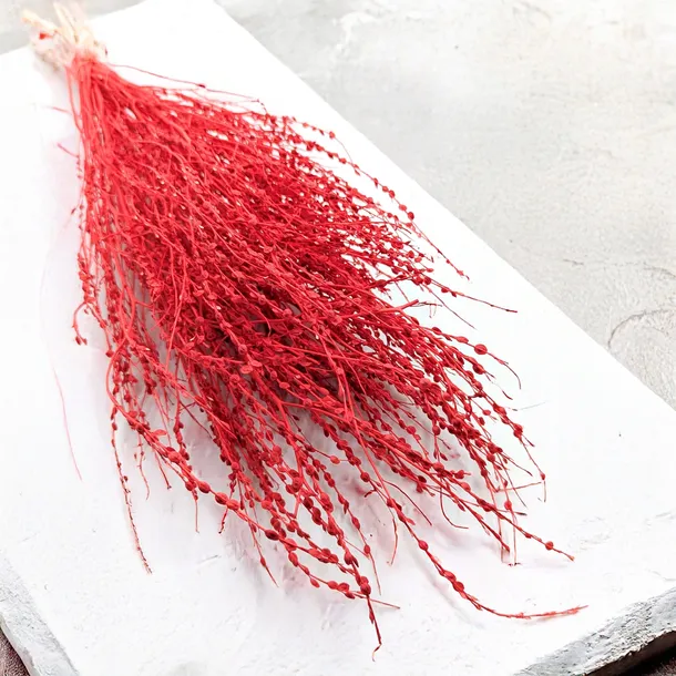 lepidium-lepidium-sativum-czerwone-wysokosc-maksymalna-60-cm
