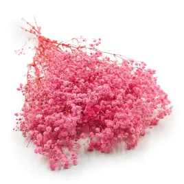 gipsowka-stabilizowana-gypsophila-royal-bouquet-rozowa-100g