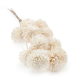 kwiat-shola-sola-zinnia-na-lodydze-10szt