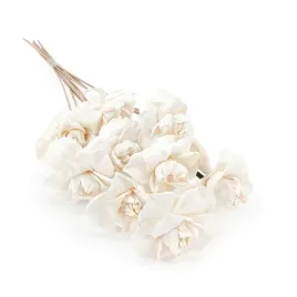 kwiat-shola-sola-begonia-na-lodydze-10szt