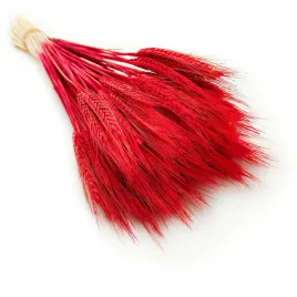 pszenzyto-suszone-czerwone