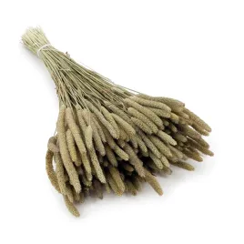 tymotka-naturalna-suszona-suszki-duzy-bukiet-80g