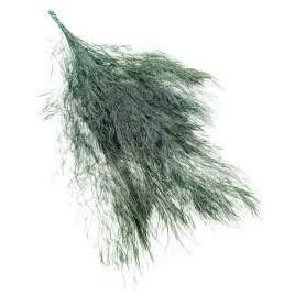paproc-drzewiasta-stabilizowana-bukiet