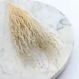 lepidium-lepidium-sativum-bielone-wysokosc-maksymalna-60-cm