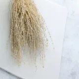 lepidium-lepidium-sativum-bielone-marka-enchanted