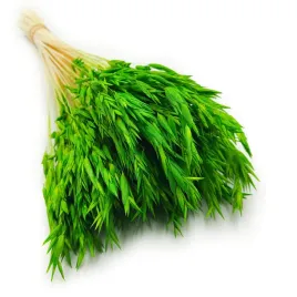 owies-suszony-zielony-suszki-duzy-bukiet-100g