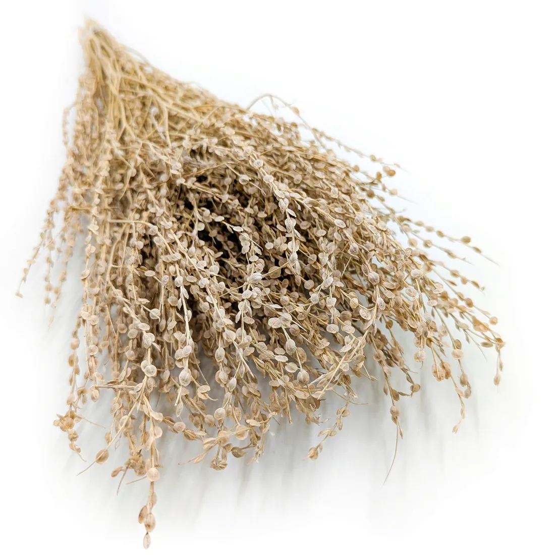 lepidium-lepidium-sativum-naturalne-stan-nowy