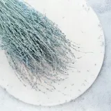 lepidium-lepidium-sativum-mietowe-kod-producenta-lepidium-mietowe