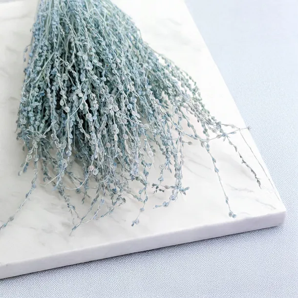 lepidium-lepidium-sativum-mietowe-wysokosc-maksymalna-60-cm