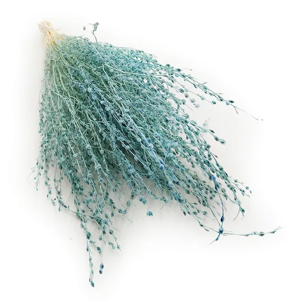 lepidium-lepidium-sativum-mietowe-stan-nowy-rodzaj-liscie