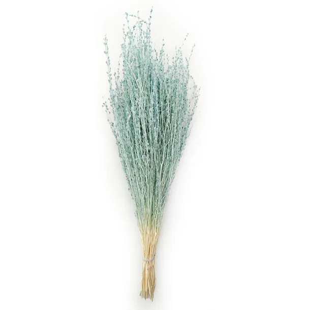 lepidium-lepidium-sativum-mietowe-stan-nowy-wysokosc-maksymalna-60-cm