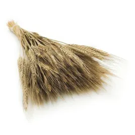 pszenzyto-suszone-naturalne