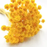 hill-flower-zolty-stan-nowy