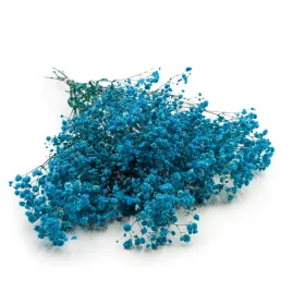 gipsowka-stabilizowana-gypsophila-royal-bouquet-niebieska-100g
