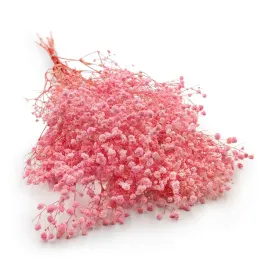 gipsowka-stabilizowana-gypsophila-royal-bouquet-jasny-roz-100g