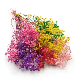 gipsowka-stabilizowana-gypsophila-royal-bouquet-mix-kolorow-100g