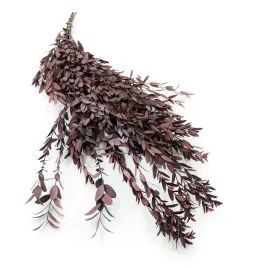 eukaliptus-parvifolia-stabilizowany-czerwony