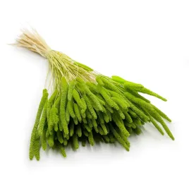 suszona-trawa-tymotka-phleum-jasnozielona