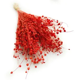 len-pomaranczowy-suszony-suszki-duzy-bukiet-100g