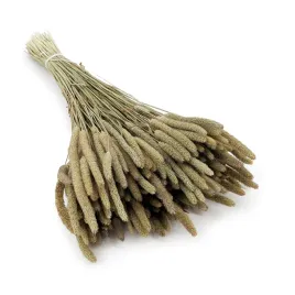 tymotka-naturalna-suszona-suszki-duzy-bukiet-80g