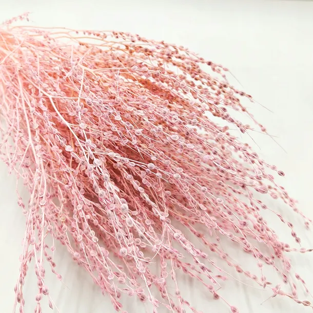 lepidium-lepidium-sativum-rozowe-stan-nowy-wysokosc-maksymalna-60-cm