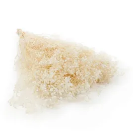 gipsowka-stabilizowana-gypsophila-kremowa