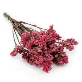 stabilizowany-zatrwian-wrebny-limonium-sinuatum-rozowy