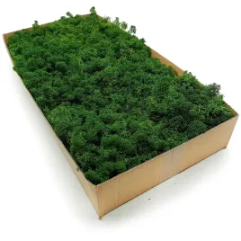 mech-chrobotek-alpejski-premium-2kg-netto