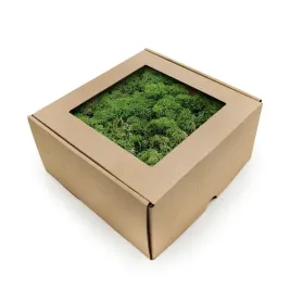 mech-chrobotek-reniferowy-norwegia-butelkowy-250g-netto