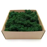mech-chrobotek-alpejski-premium-500g-stan-nowy