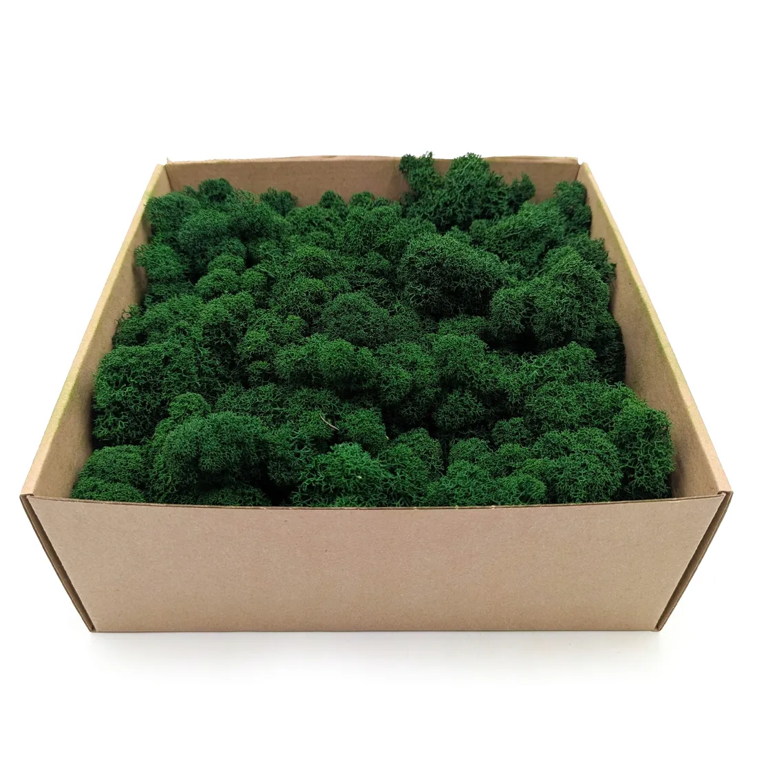 mech-chrobotek-alpejski-premium-500g
