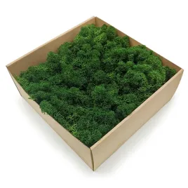 mech-chrobotek-alpejski-premium-500g-netto