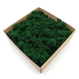 mech-chrobotek-alpejski-oczyszczony-lesny-zielony-250g-netto