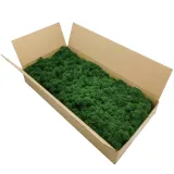 mech-chrobotek-dekoracyjny-3-kolory-szerokosc-produktu-25-cm